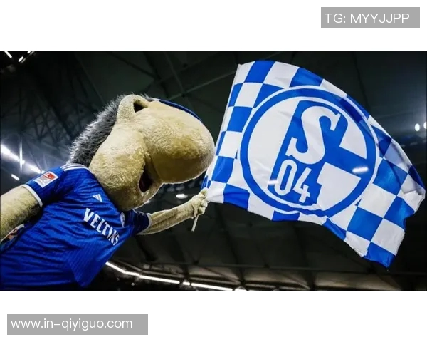 沙尔克04在德乙中表现出色卡里乌斯守门稳健15场比赛零封8次